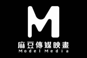 麻豆传媒招聘流程揭秘：如何成功加入这个热门团队