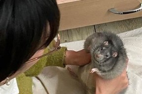 沈心语E奶作品全解析，麻豆传媒电影新秀精彩表现不容错过！