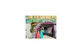 探索麻豆文化：传递特有的文化魅力与媒体影响力
